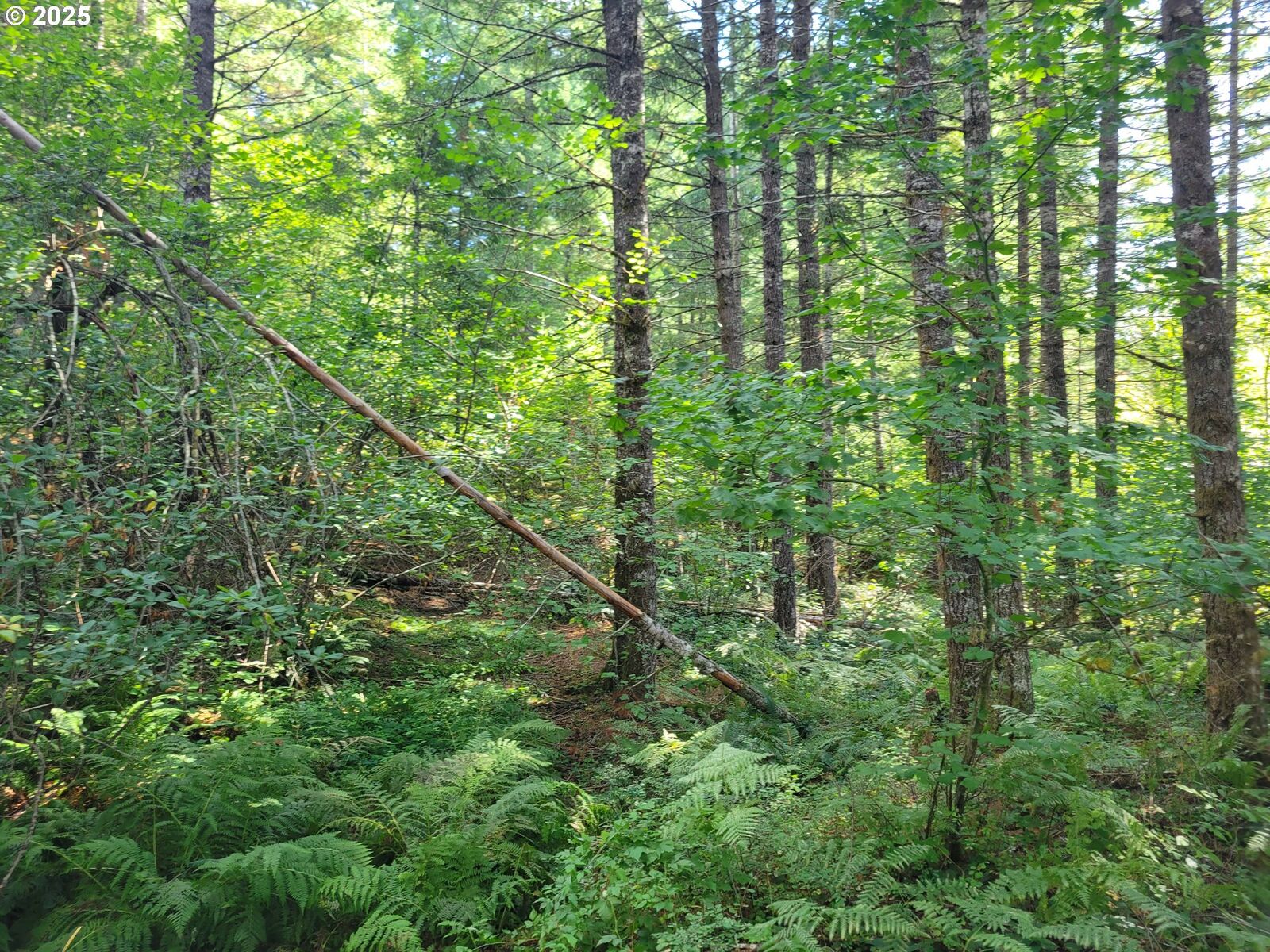 Property Photo: Heslen Rd WA 98610