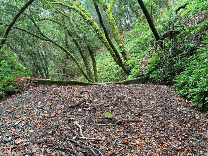 Property Photo:  11285 Dell Avenue  CA 95436 