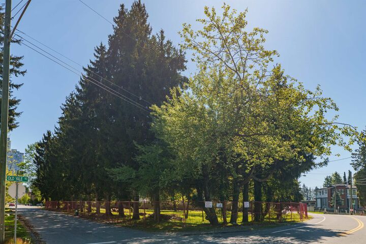 13003 Old Yale Road — photo 1