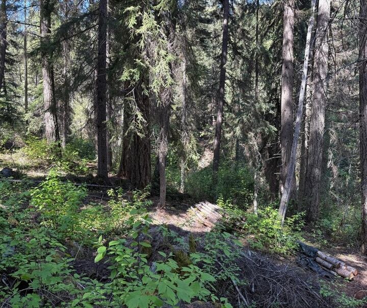 Property Photo: Dl 2401 Sucker Lake Road BC V0K 1P0