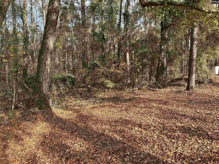 Property Photo: 440 Paschal SC 29045