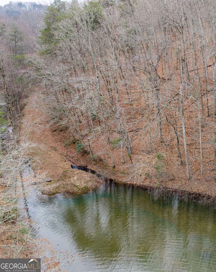 Property Photo: 161 Headwaters Court Lot 161 GA 30528