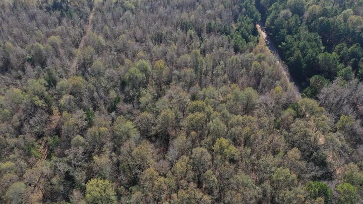 Property Photo:  0000 County Road 2617  TX 75563 