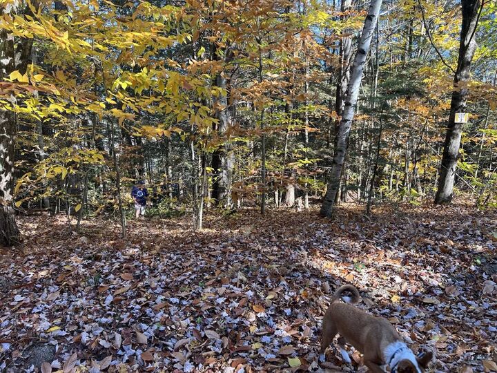 Property Photo: Lot 2 Laurel Lane NH 03287