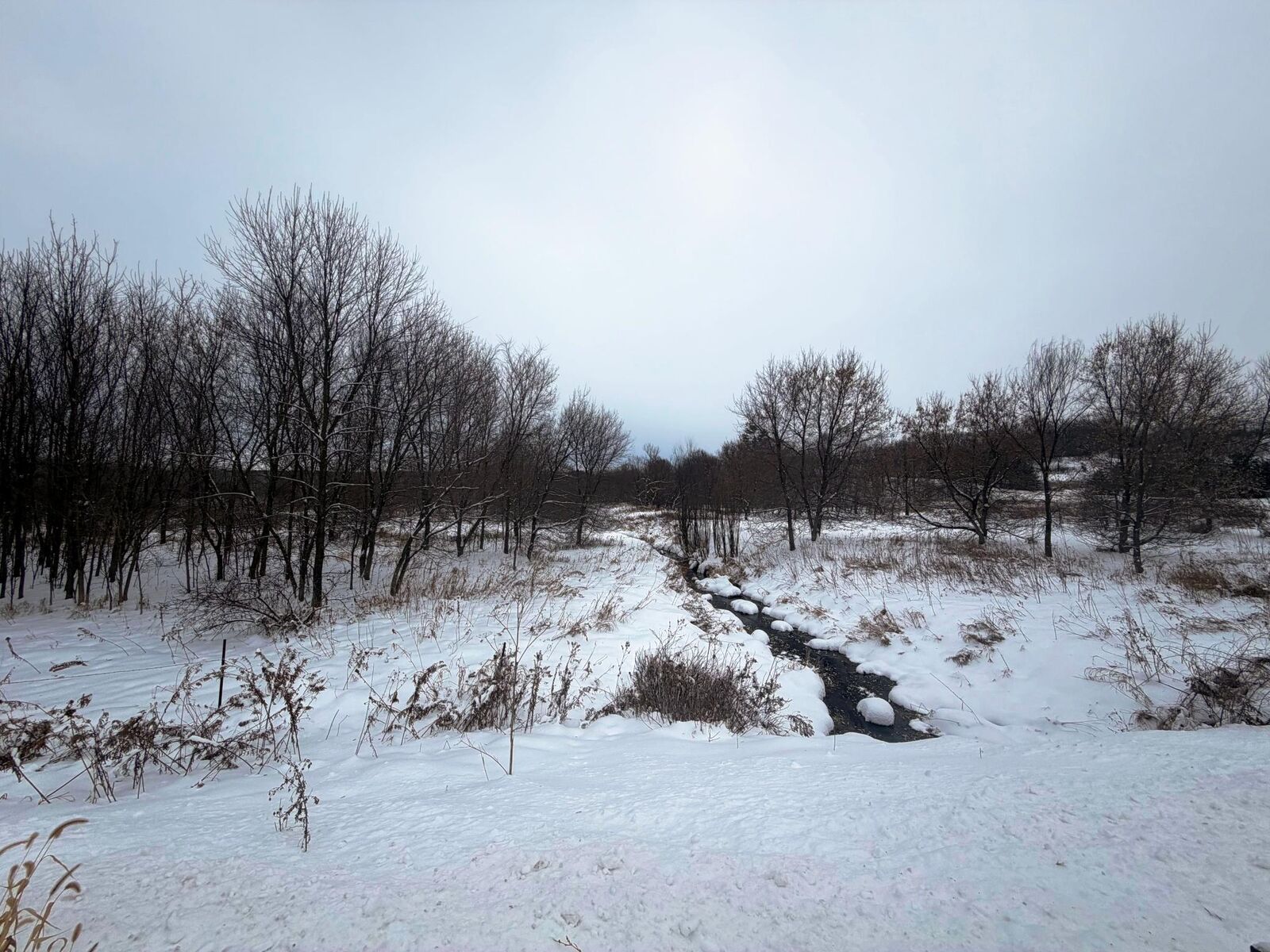 Property Photo: Tbd Lands Along 160th Ave &Amp 315th St WI 54013