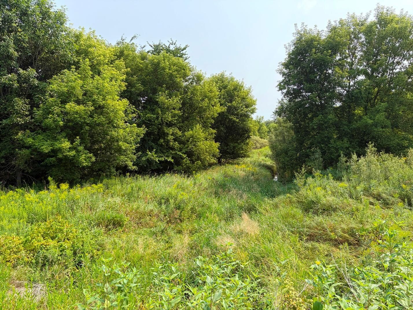 Property Photo:  Tbd Lands Along 160th Ave &Amp 315th St  WI 54013 