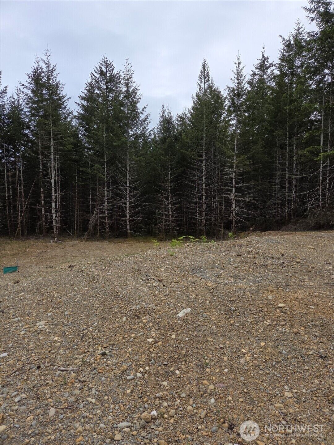 Property Photo:  490 E Pinedirosa Road A  WA 98592 