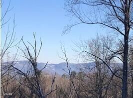 Property Photo: Lot 21 Wild Azalea Lane TN 37862
