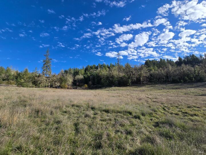 Property Photo: 0 Ridgewood Road CA 95490
