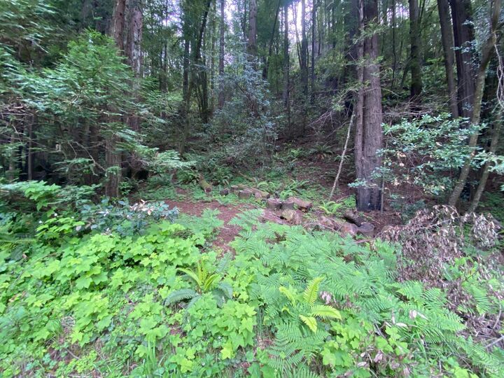 Property Photo:  925 Cazadero Highway  CA 95421 