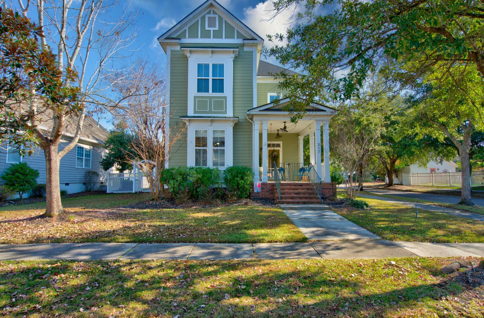 Property Photo:  317 Hydrangea Street  SC 29483 