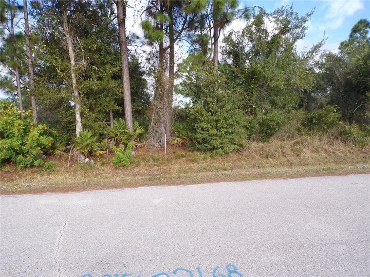 Property Photo:  12069 Borax Avenue  FL 33955 