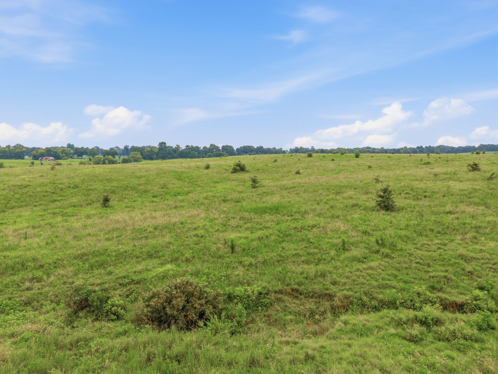 Property Photo: 46 Caps Rd TN 37079