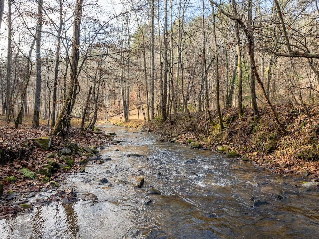 Property Photo: 894 Hap Holt Road GA 30540