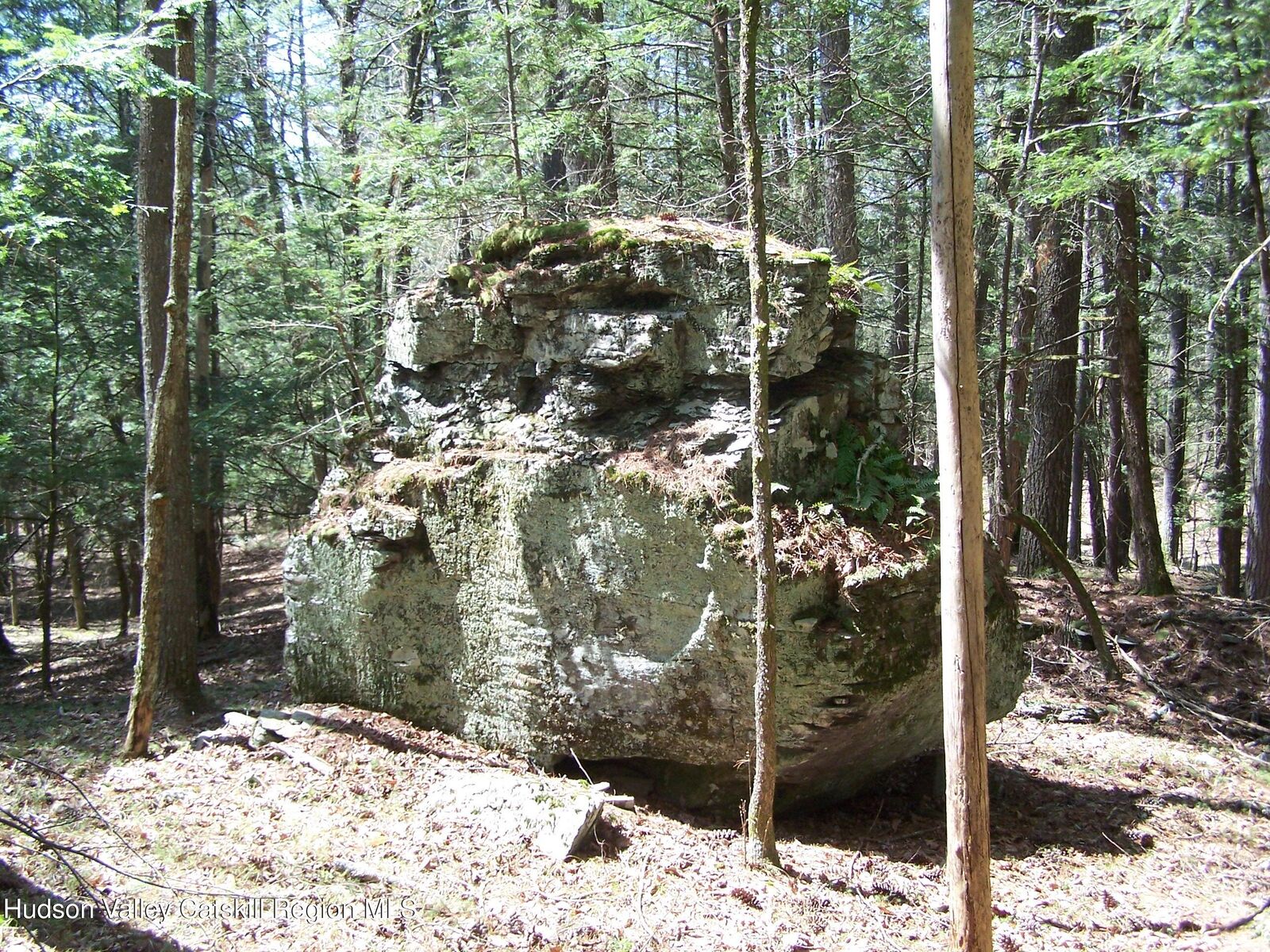 Property Photo:  Tbd Buck  NY 12484 