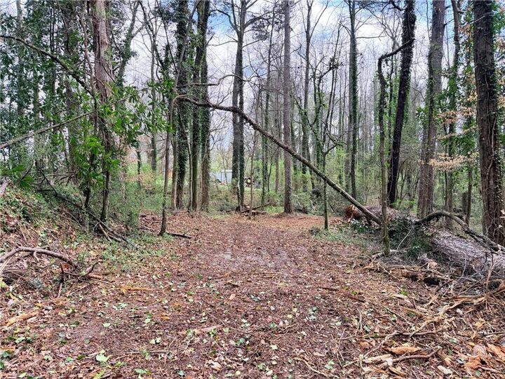 Property Photo:  Lot 4 Miller Street  GA 30122 