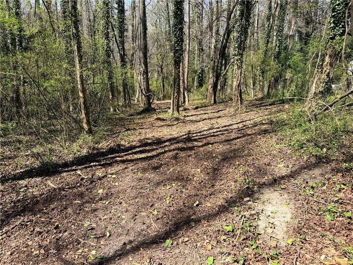 Property Photo:  Lot 4 Miller Street  GA 30122 