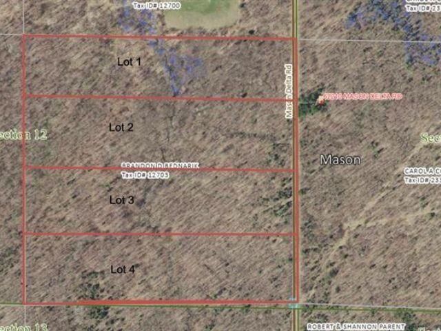 Property Photo:  Lot 1 Mason Delta Rd  WI 54856 