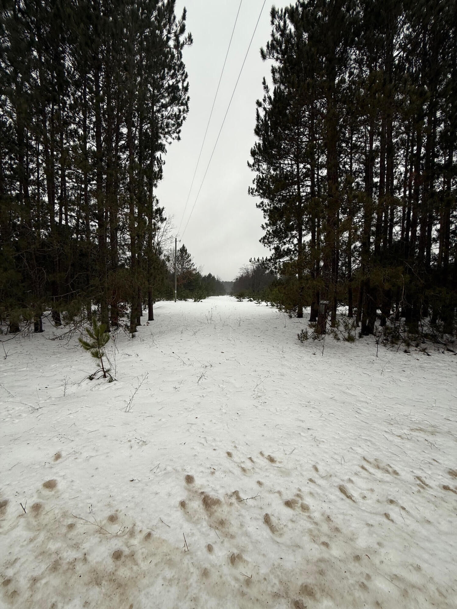 Property Photo:  14124 Healy Lake Road  MI 49614 