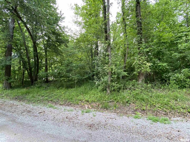 Property Photo: Lot 4 Choctaw Drive IL 62901