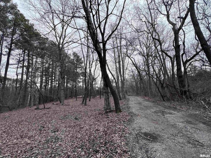 Property Photo:  449 Pine Lane  IL 62966 