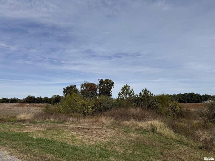 Property Photo:  Tbd S Market Street  IL 62959 