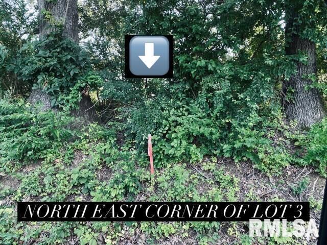 Property Photo: Lot 5 Falcon Road IL 62901