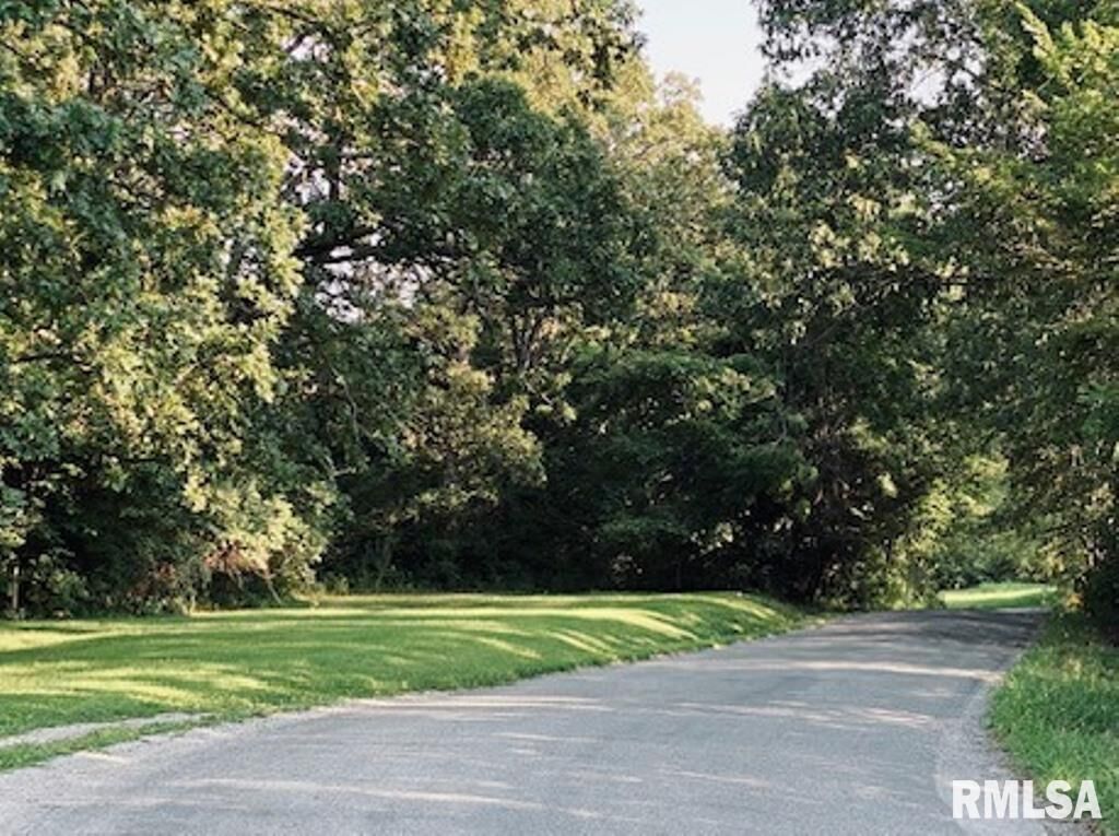 Property Photo: Lot 4 Falcon Road IL 62901
