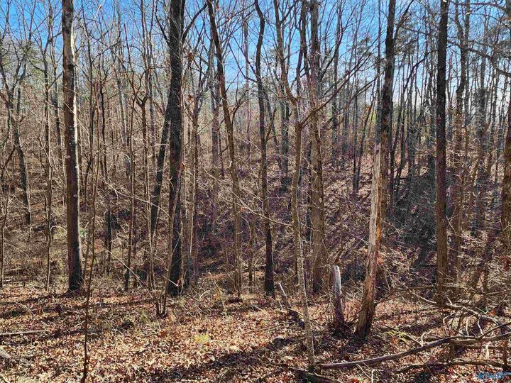 Property Photo:  Lot 35 Road 9050  AL 35984 