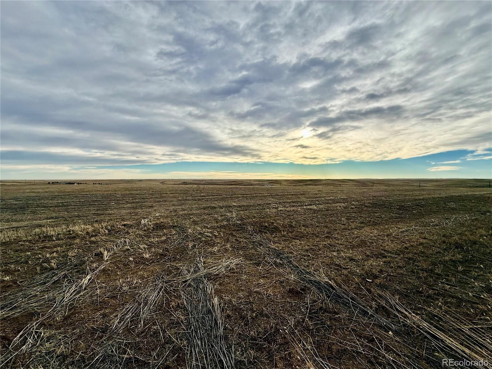 Property Photo:  4 Winners Circle  CO 80107 