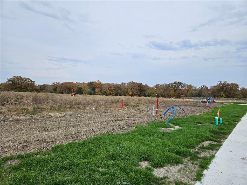 Property Photo:  2803 Captain Drive  TX 77808 