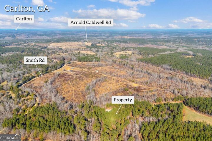 Property Photo:  0 Smith Road  GA 30627 