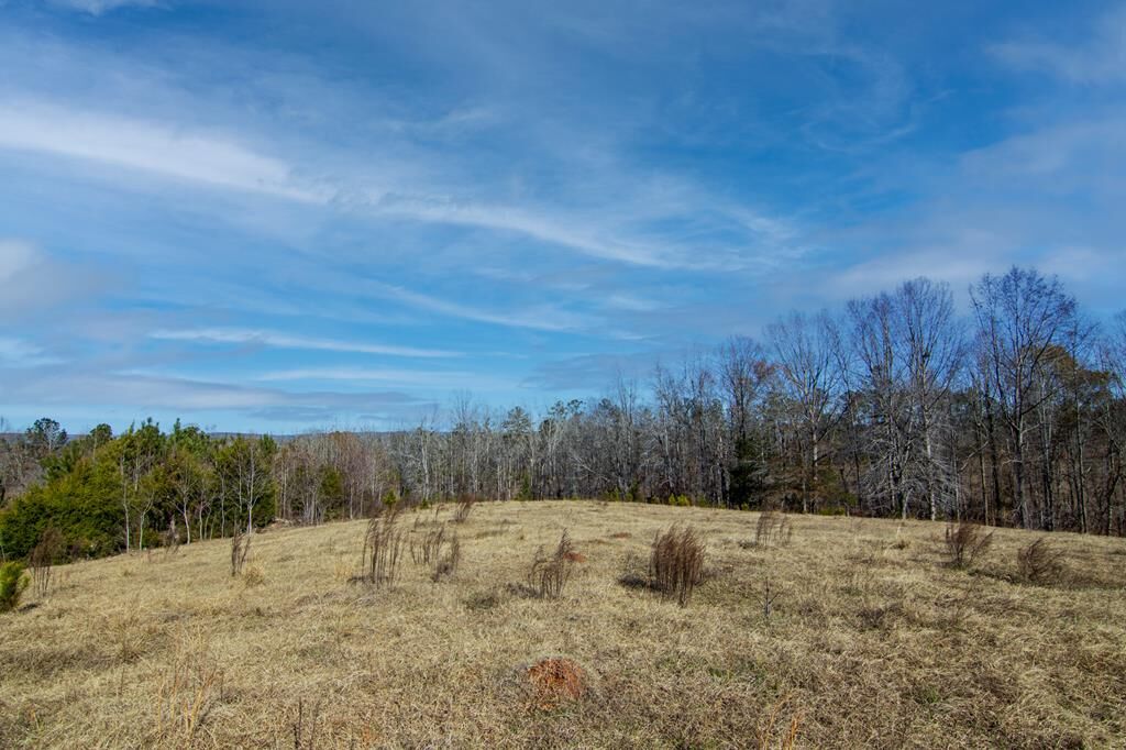 Property Photo:  0 Chestnut Grove Road  GA 31826 