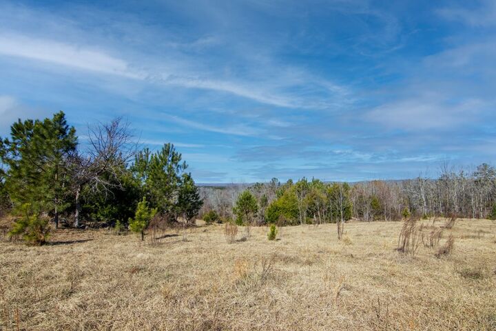 Property Photo:  0 St. Paul Church Road  GA 31826 