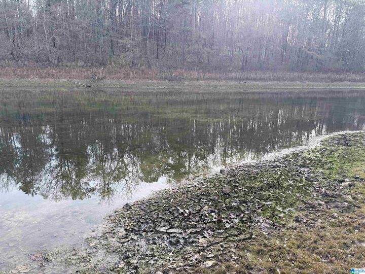 Property Photo:  0 Aepean Way 82  AL 35014 