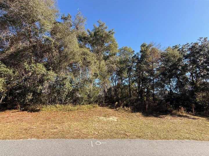 Property Photo:  Southwest 43 Ave  FL 34473 