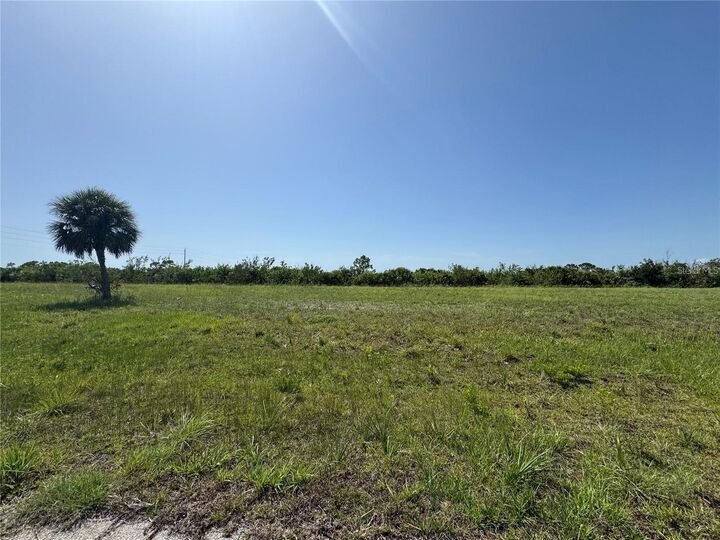 Property Photo: 13452 Walleye Way FL 33946