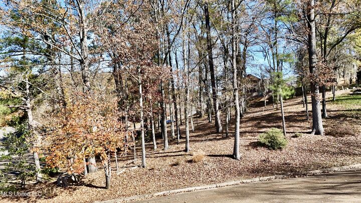 Property Photo: 0 Brighton Drive MS 39056