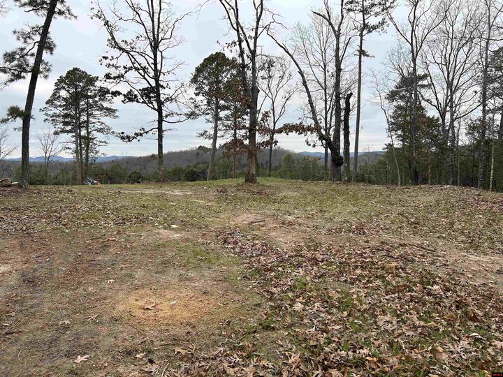 Property Photo:  6895 Jumbo Road  AR 72566 