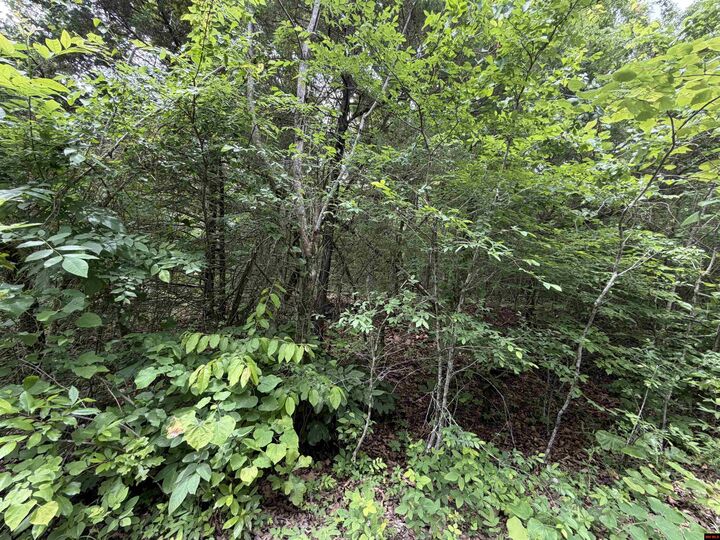 Property Photo: 705-26034-000 Clark Lane AR 72512