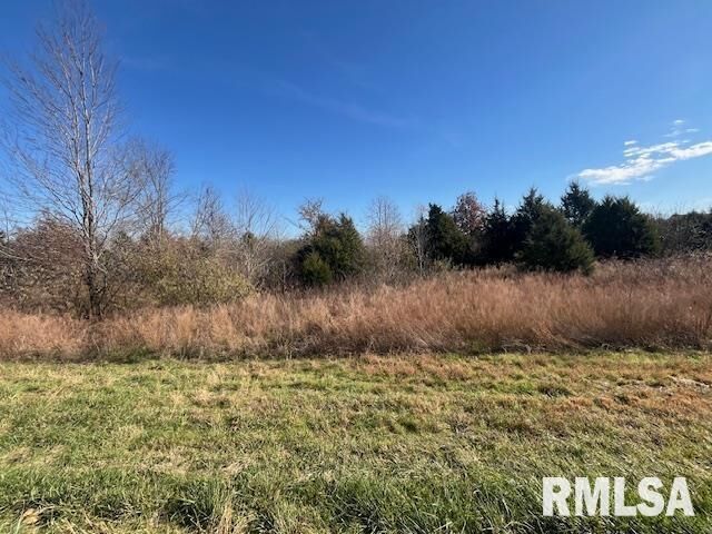 Property Photo: Lot 16 Pintail Lane IL 62922