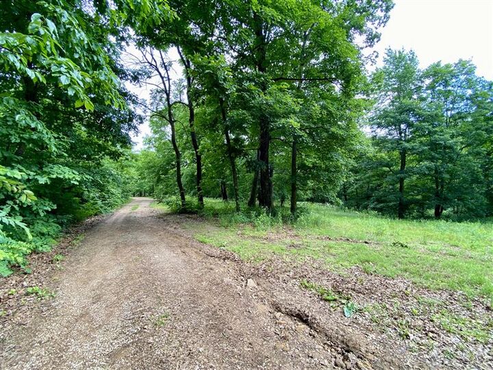 Property Photo:  4728 County Road 905  AR 72611 