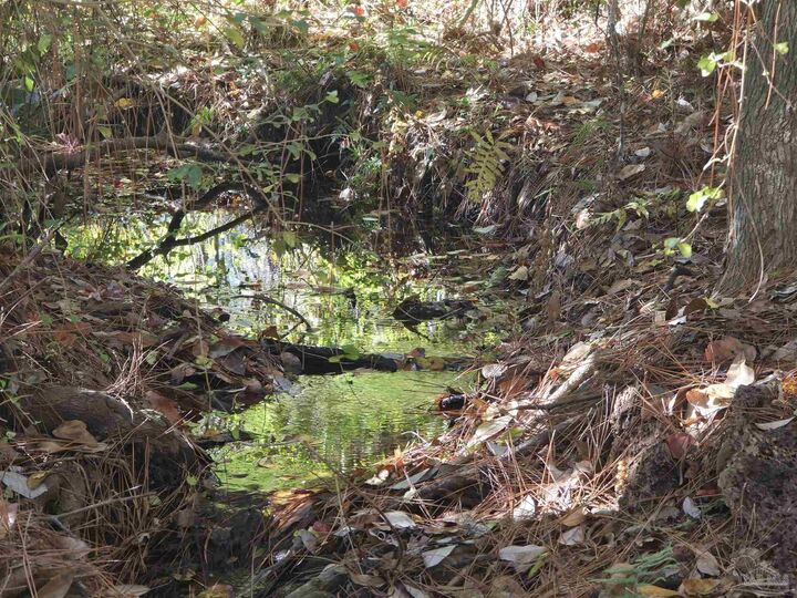 Property Photo:  1821 Winding Creek Cir  FL 32533 