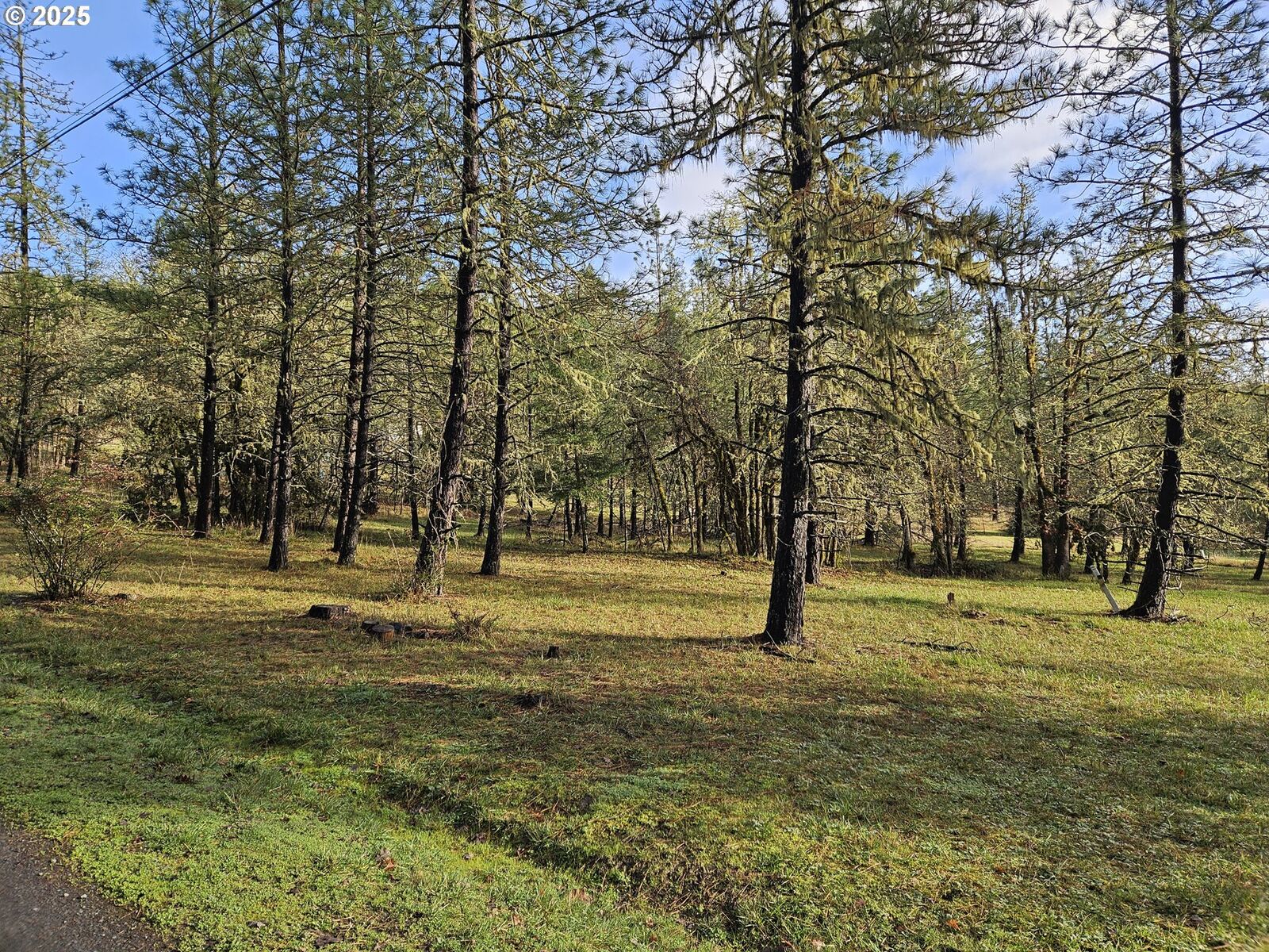 Property Photo:  1020 Bennett Creek Rd  OR 97424 