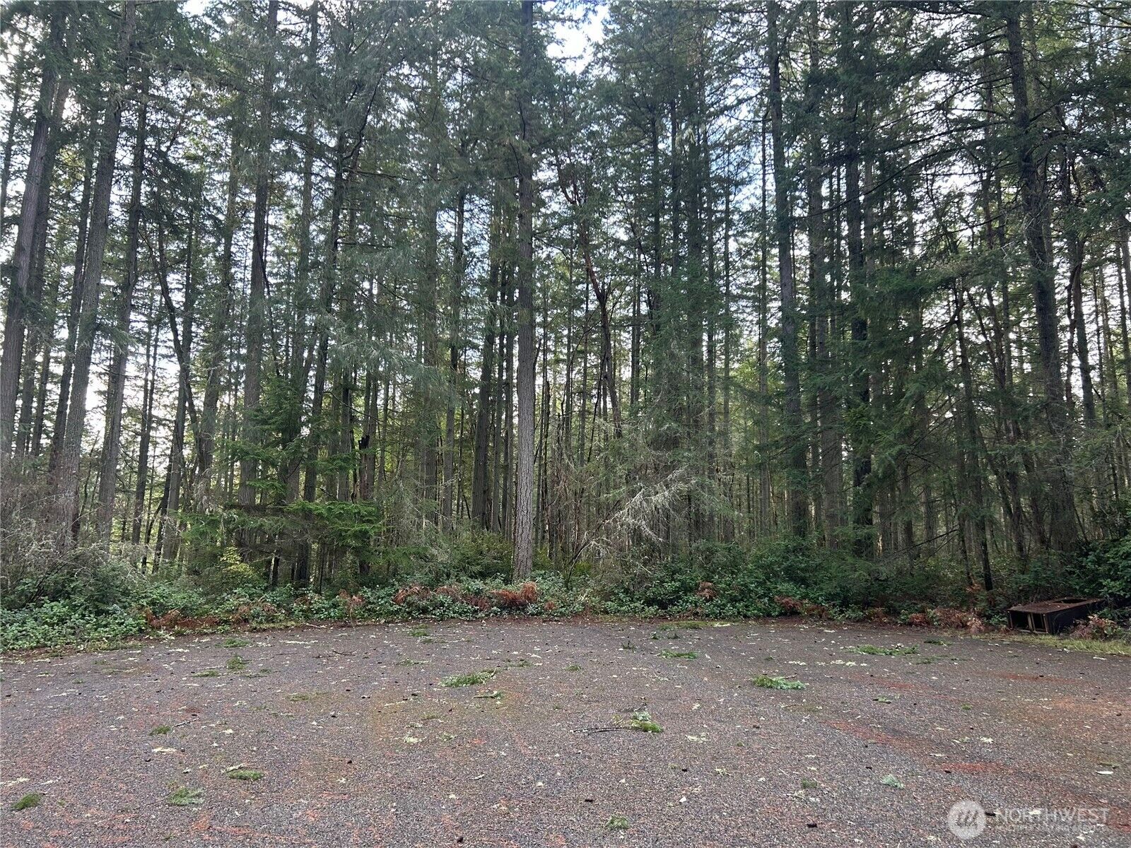 Property Photo:  12918 E 101st Street Ct  WA 98303 