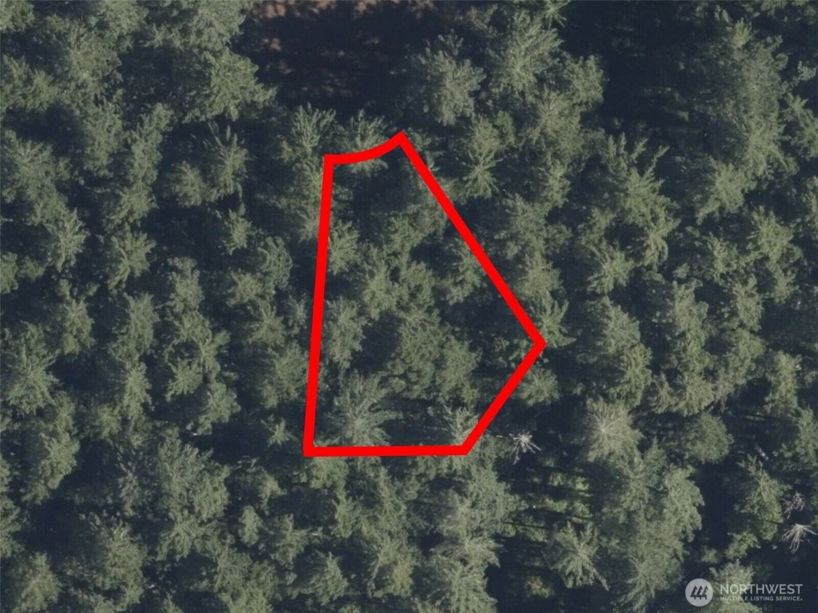 Property Photo:  12914 E 101st Street Ct  WA 98303 