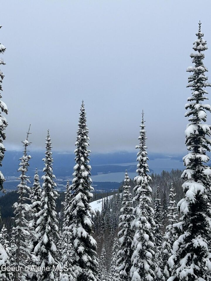 Property Photo:  L3 B2 Tall Timber Rd  ID 83864 