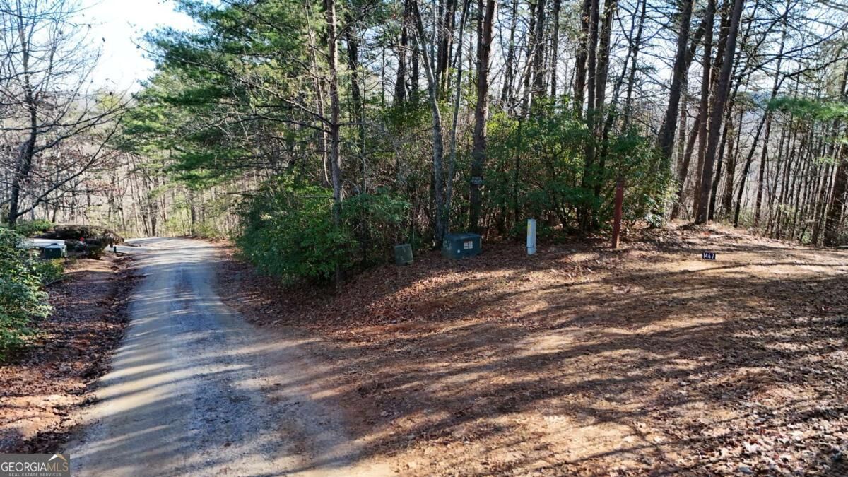Property Photo:  0 Gold Valley Road  GA 30571 