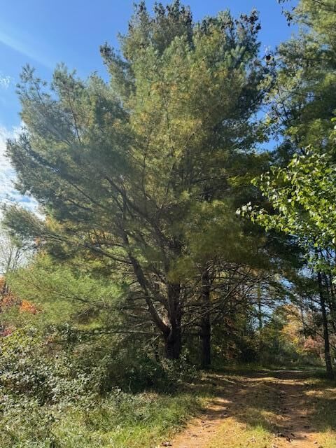 Property Photo:  215 Tom Taylor Road  KY 40701 