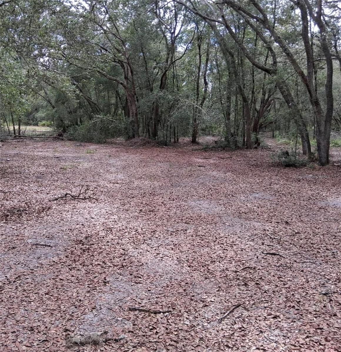 Property Photo:  33174 Tombstone Street  FL 33597 